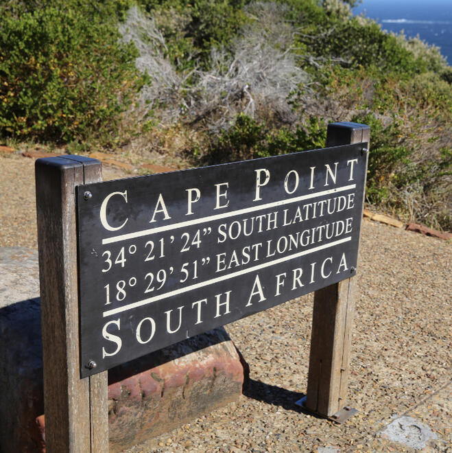 Cape Peninsula Tour